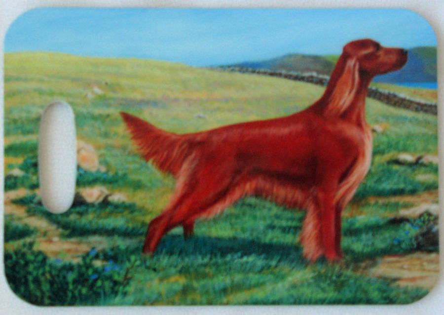 Irish Setter 2 luggage tag