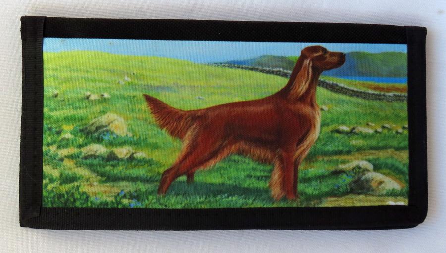 Irish Setter 2 Checkbook