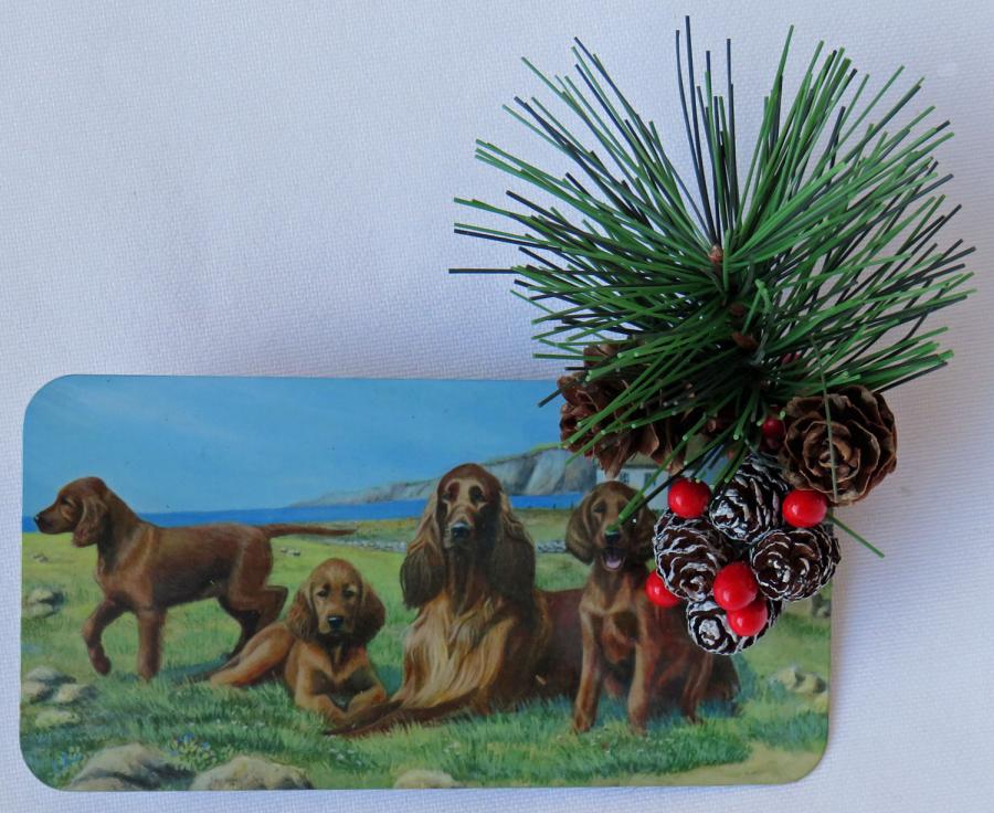Irish Setter 3 orn