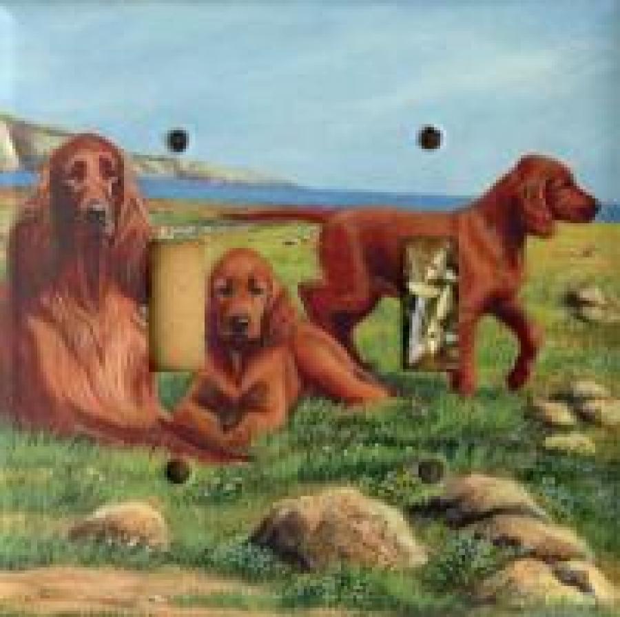Irish Setter 3A DLSP-P