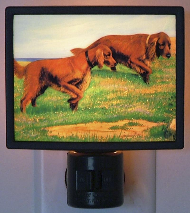 Irish Setter Picture Nightlight #4