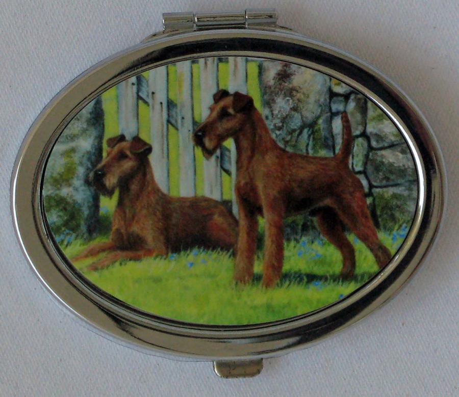 Irish Terrier 1 compact