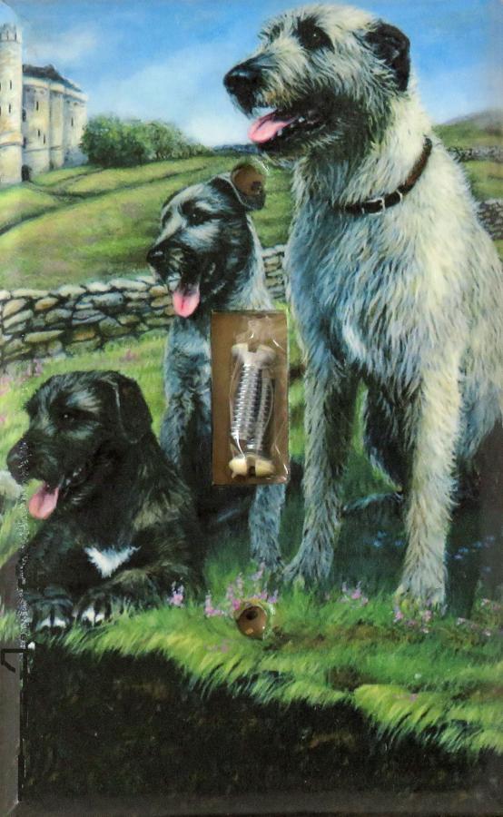 Irish Wolf 1A SLSP-P