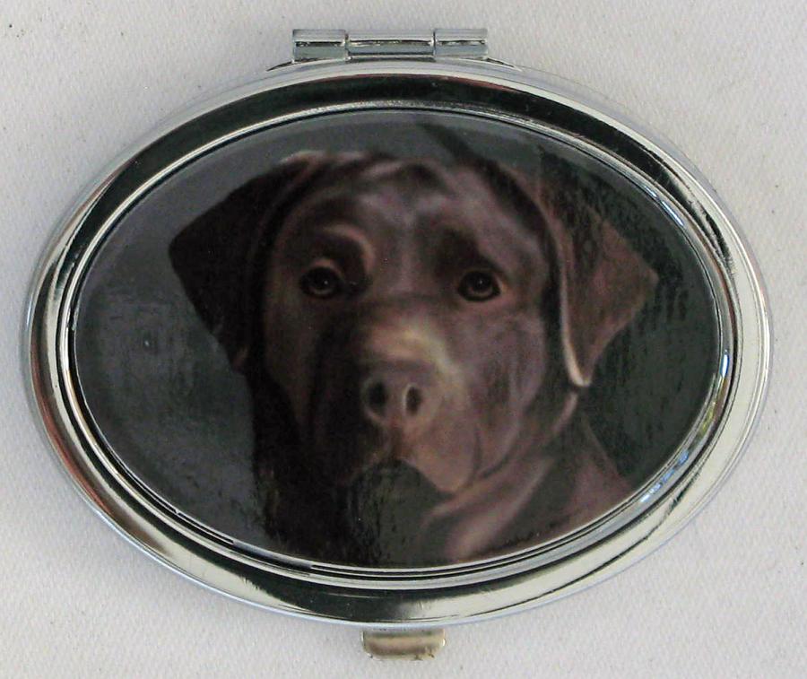 Lab, Choc 3B compact