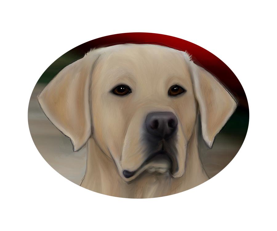 Lab, Yellow 4A compact