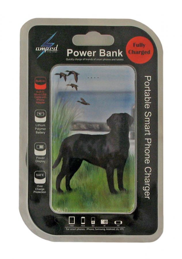 Lab 2-pbk-package