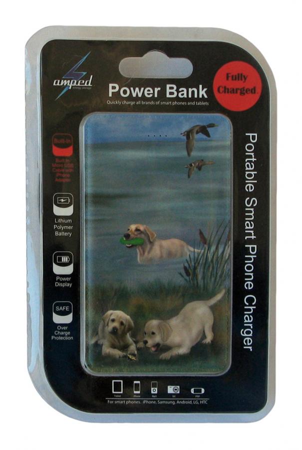 Yellow Lab 4 power bank package