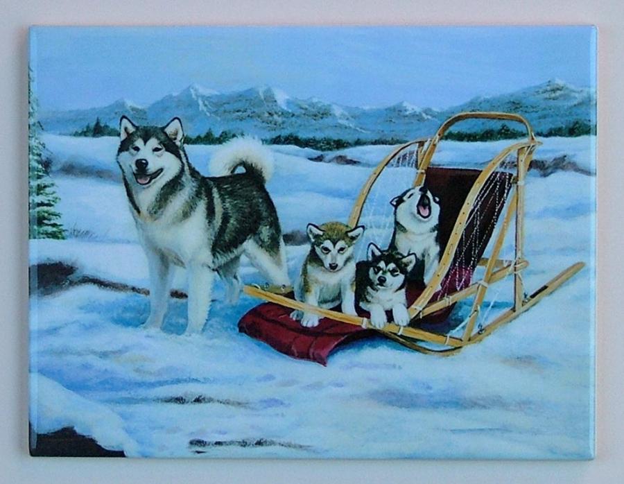 Alaskan Malamute Picture Tile #3 Mal tile 3