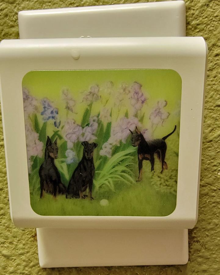 Manchester #4 nightlight-off