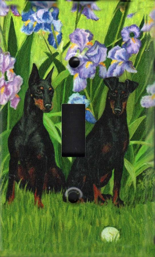 Manchester Terrier 4A SLSP-M