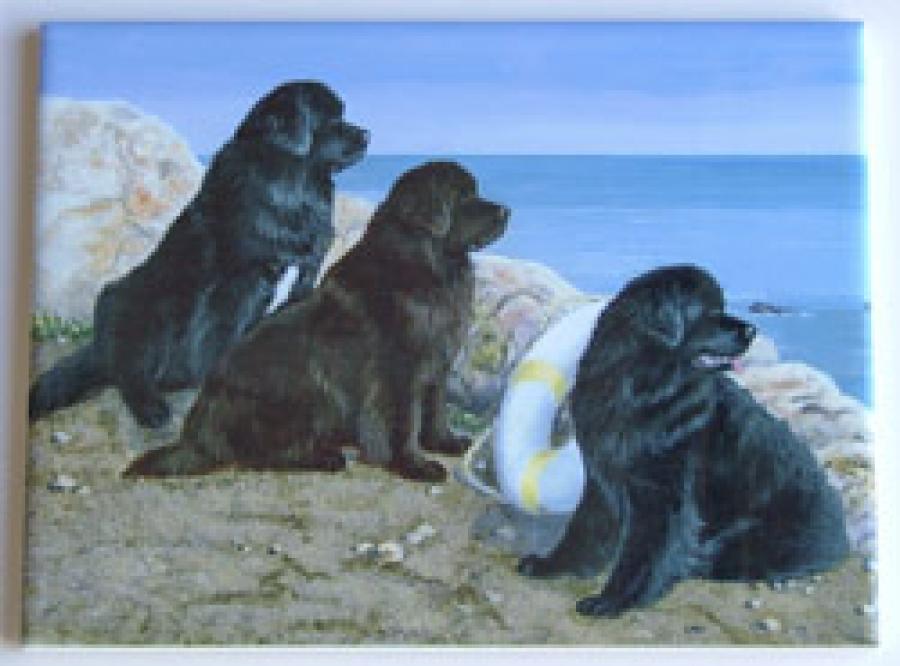 Newfoundland #3 - 6X8 Ceramic Picture Tile