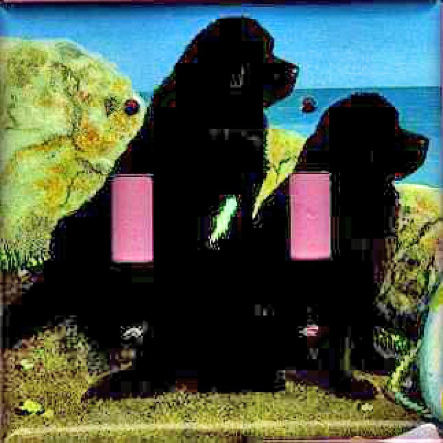 Newfoundland Picture Double Light Switch Plate #3A