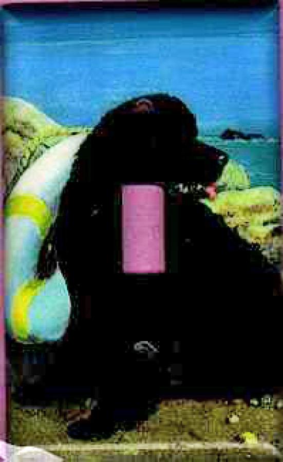 Newfoundland Picture Single Light Switch Plate #3B