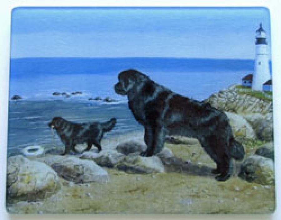 Newfoundland 4 Tempered Glass Cutting Board