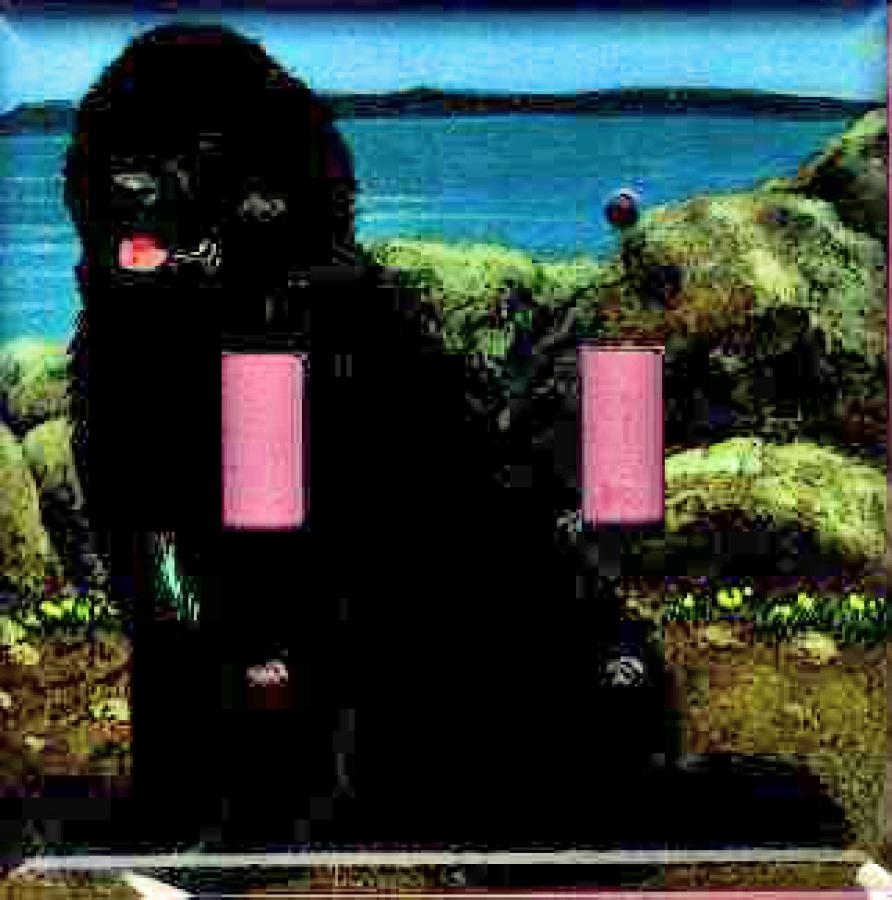 Newfoundland Picture Double Light Switch Plate #5A