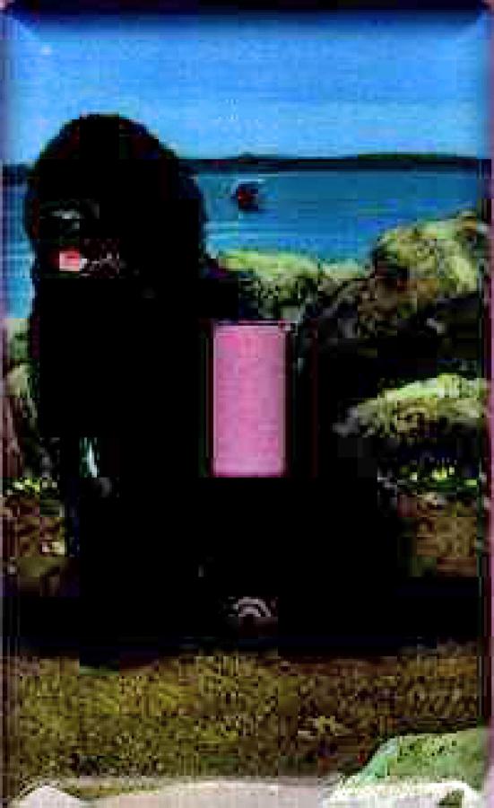 Newfoundland Picture Single Light Switch Plate #5A