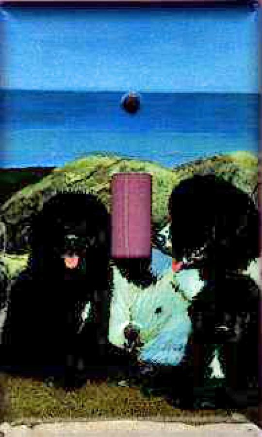 Newfoundland Picture Single Light Switch Plate #5B