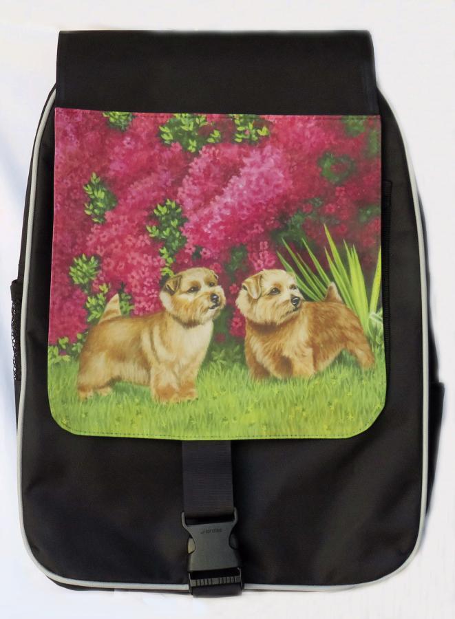 Norfolk 4 backpack