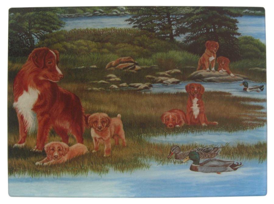 Nova Scotia Duct Tolling Retriever Picture Glass Cutting Board #1 Toller #1 cutting board