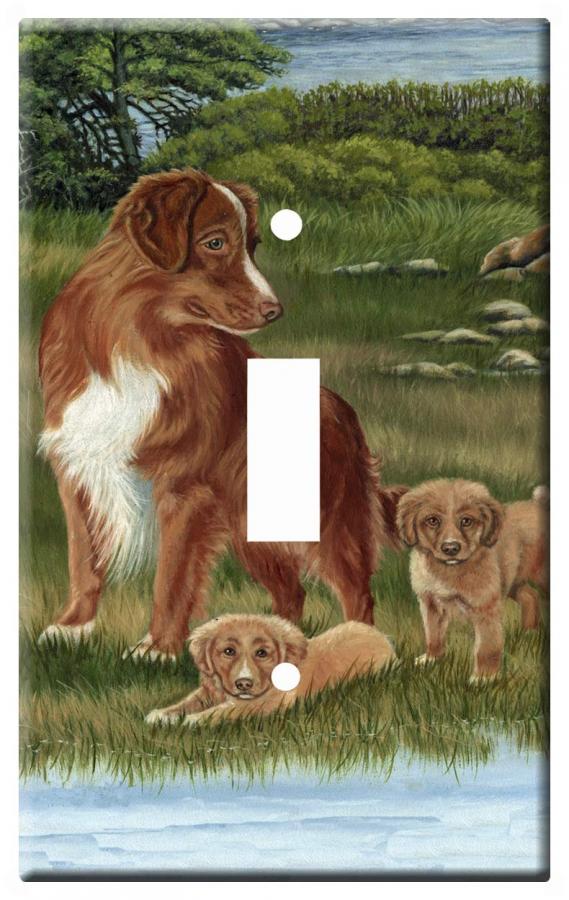 Nova Scotia Duck Tolling Retriever Picture 1A Single Light Switch Plate Toller 1a-slsp