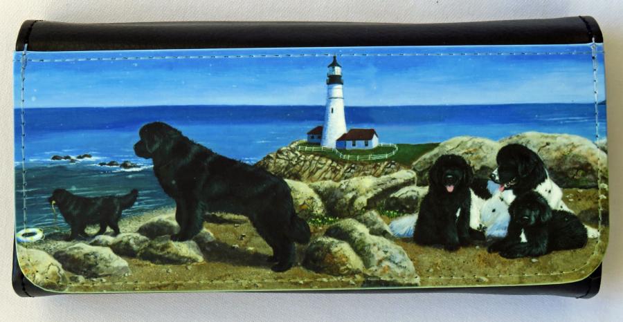 Newf 4-5 glasses case