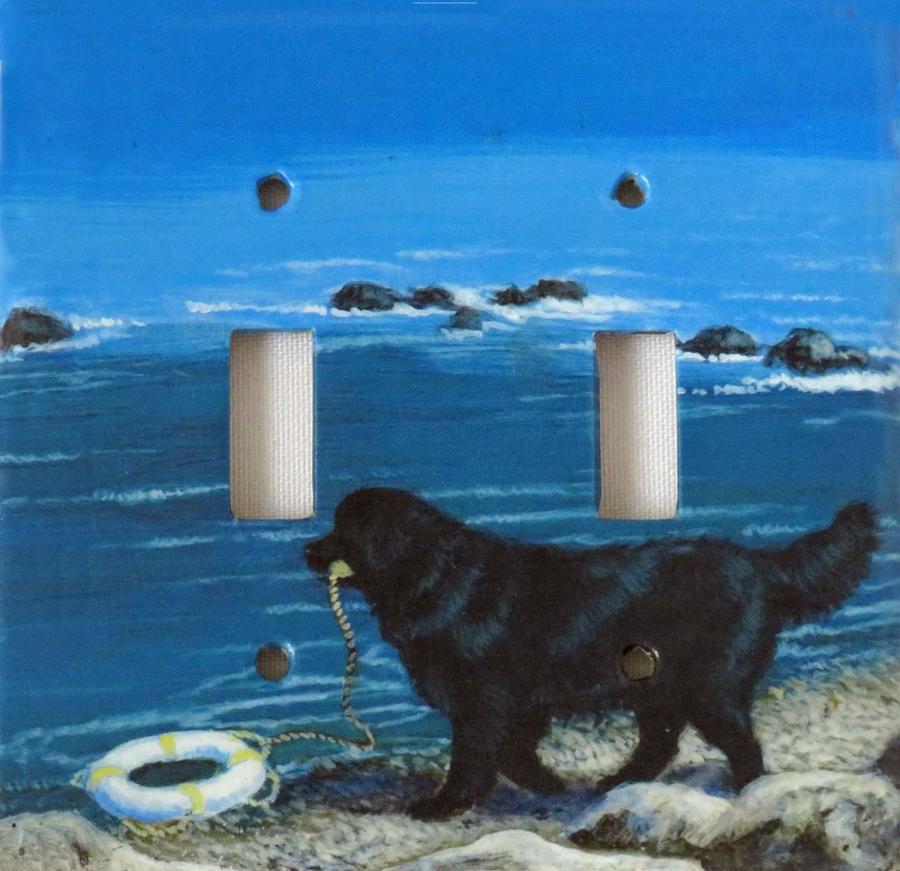 Newfoundland 4A DLSP-M