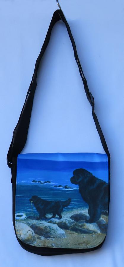Newfoundland 4A small messenger bag - front