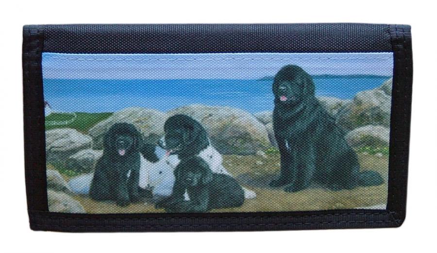 Newfie checkbook 5