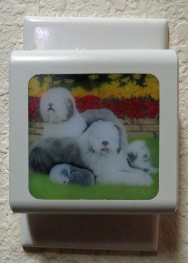 OES #4 nightlight - off