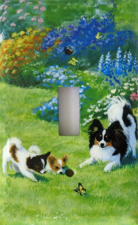 Papillon 1A SLSP-P