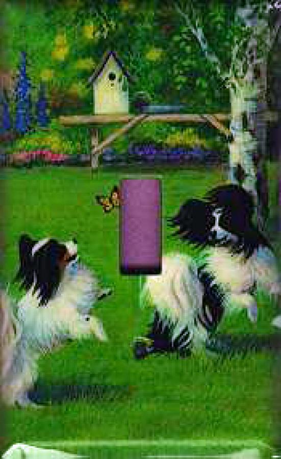 Papillon Picture Single Light Switch Plate #3A