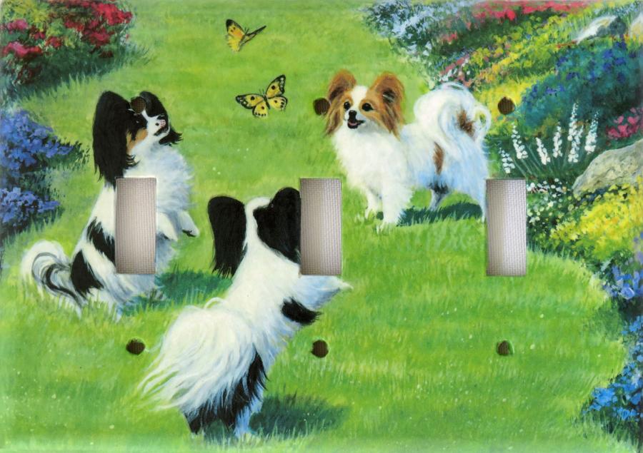 Papillon 3A TLSP-P