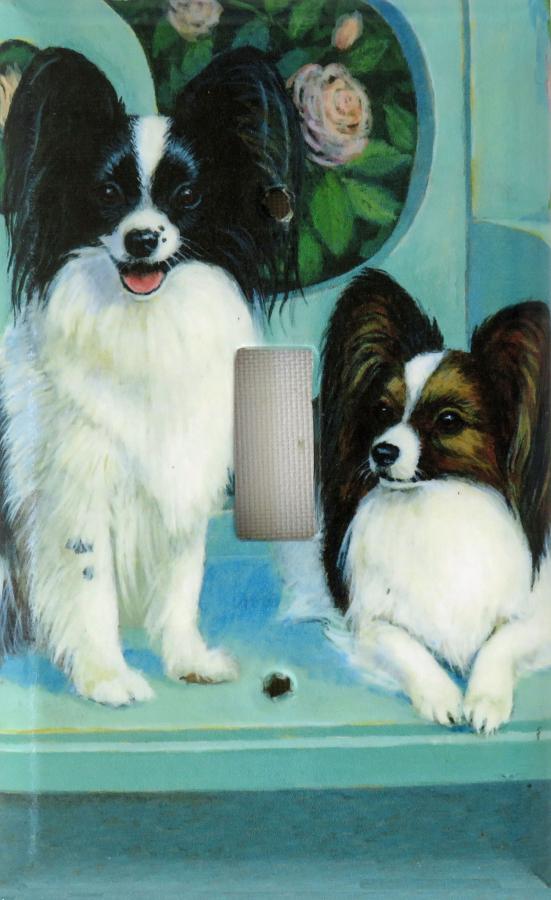 Papillon 5A SLSP-P