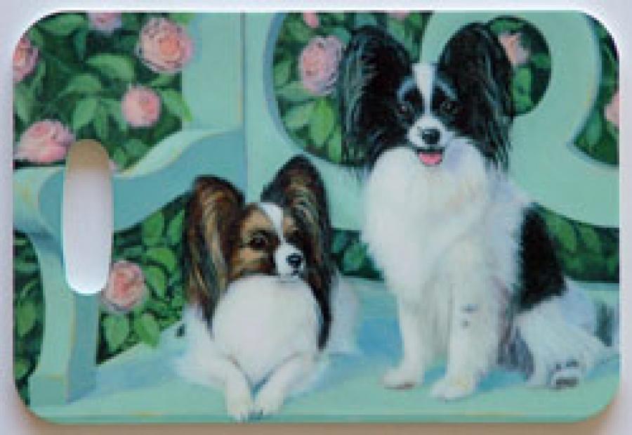 Papillon 5-LT