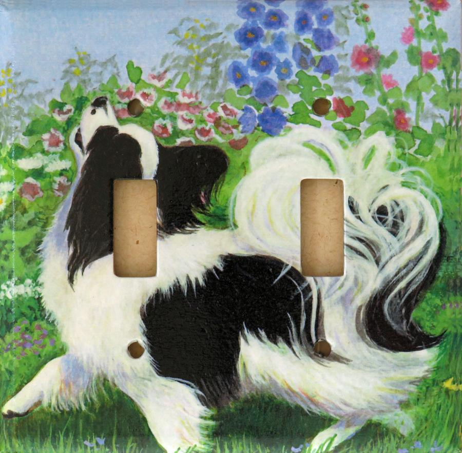 Papillon 6B DLSP-P