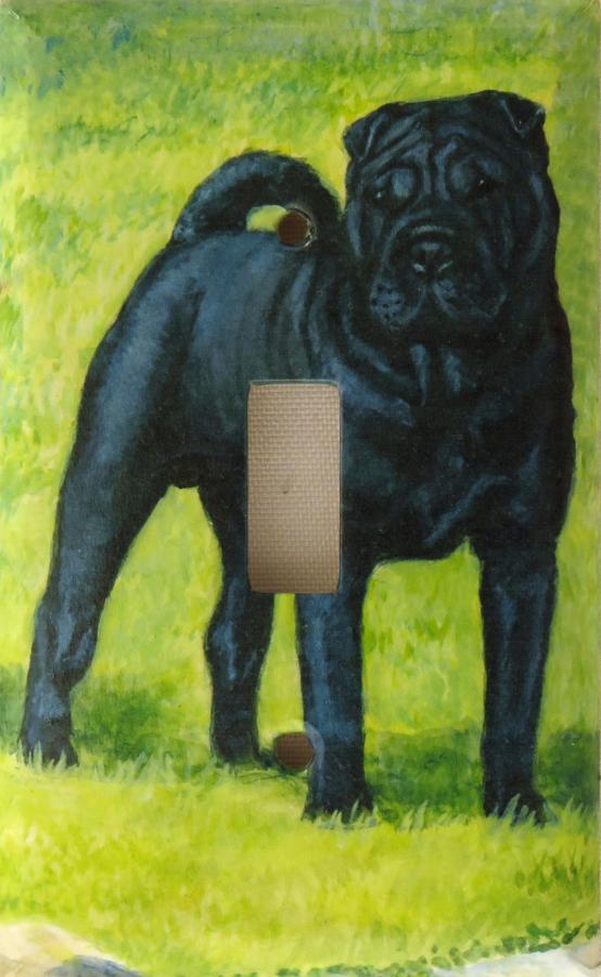 Shar Pei 4B SLSP-P