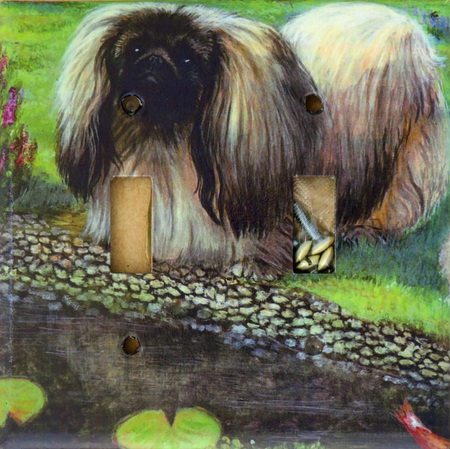 Peke 4A DLSP-P