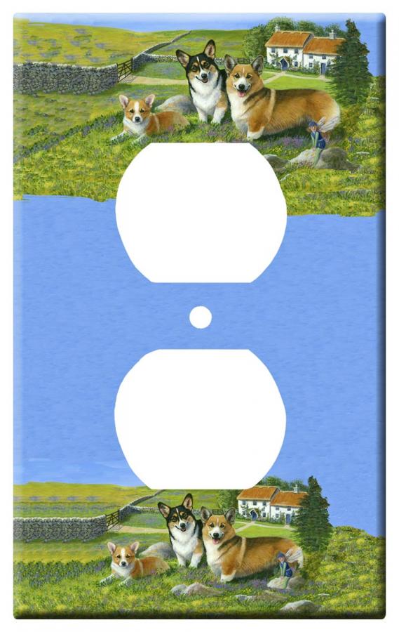 pembroke corgi 4a-otlp