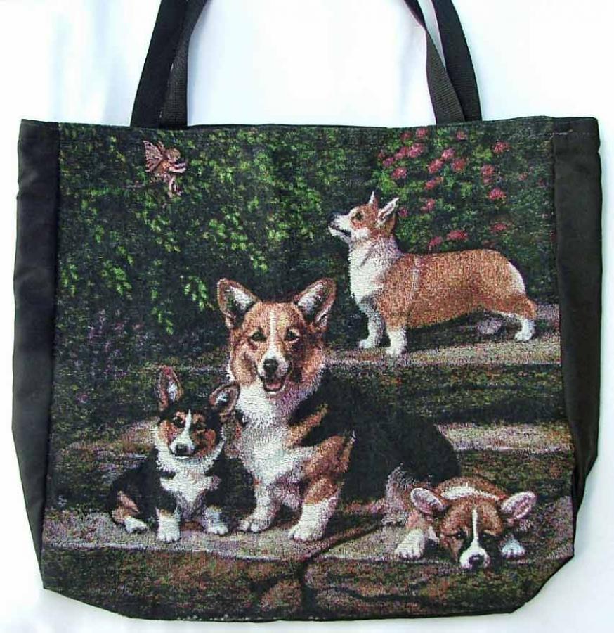 Pembroke Corgi 5 sstote