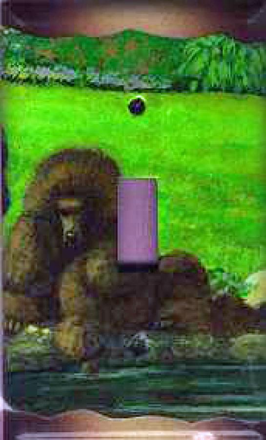 Poodle Picture Single Light Switch Plate #2A