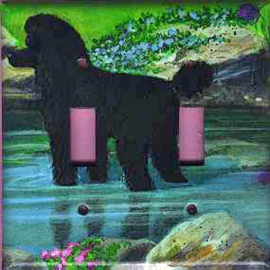 Poodle Picture Double Light Switch Plate #2B