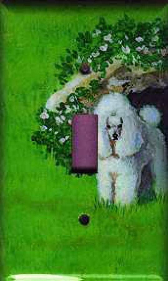 Poodle Picture Single Light Switch Plate #2B