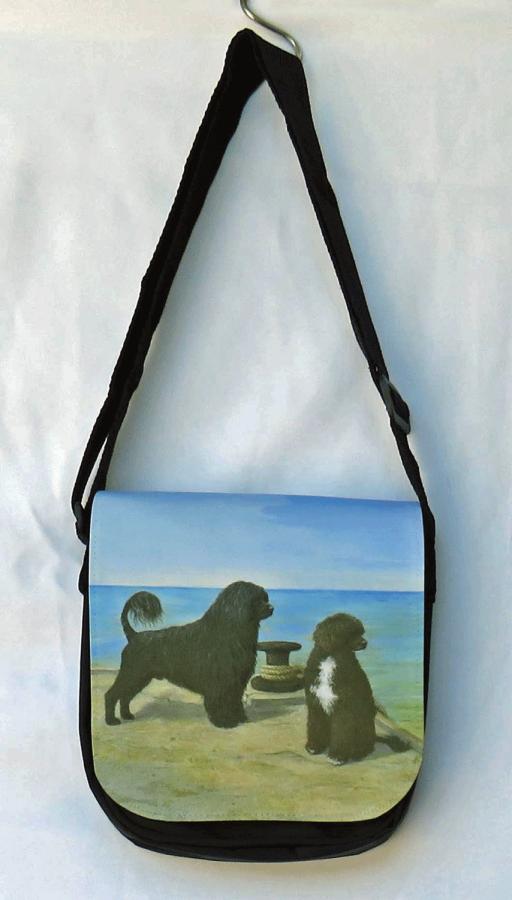 PWD 1 messenger bag - front