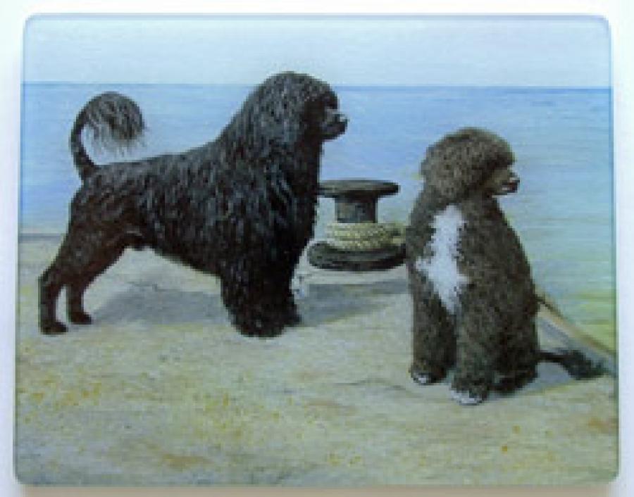 Portuguese Water Dog 1 Tempered Glass Cutting Board
