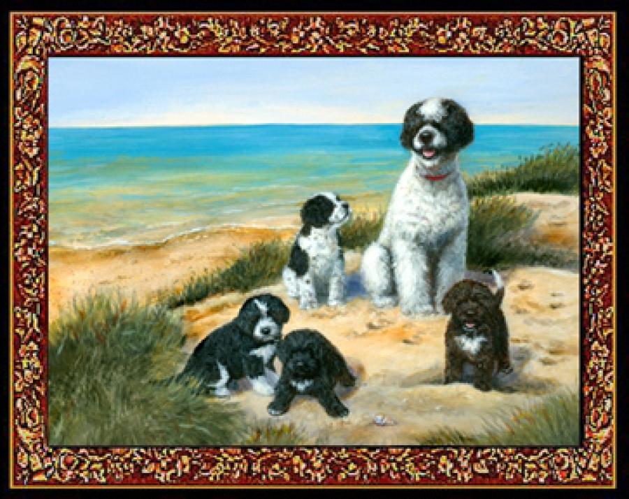 Portuguese Water Dog 3 Single Tapestry Placemat
