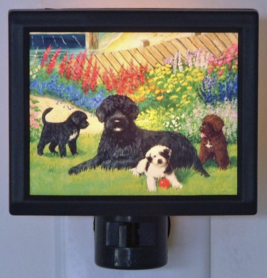 Portuguese Water Dog Picture Nightlight #4