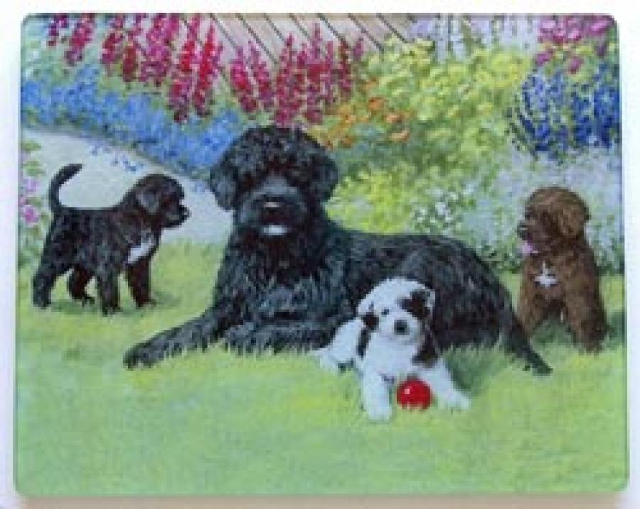 Portuguese Water Dog 4 Tempered Glass Cutting Board