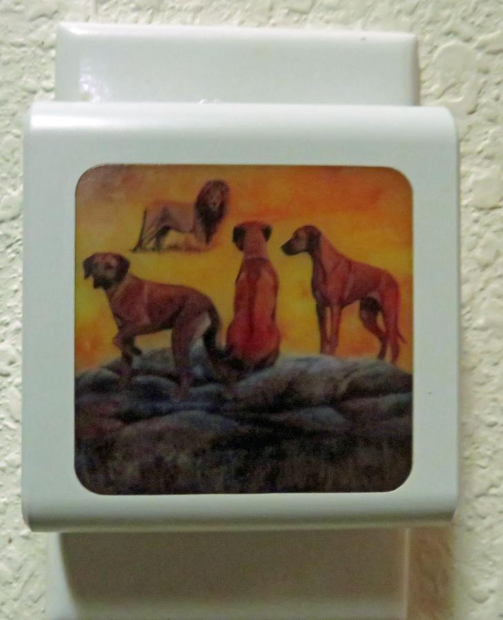 Rhodie #4 nightlight-off