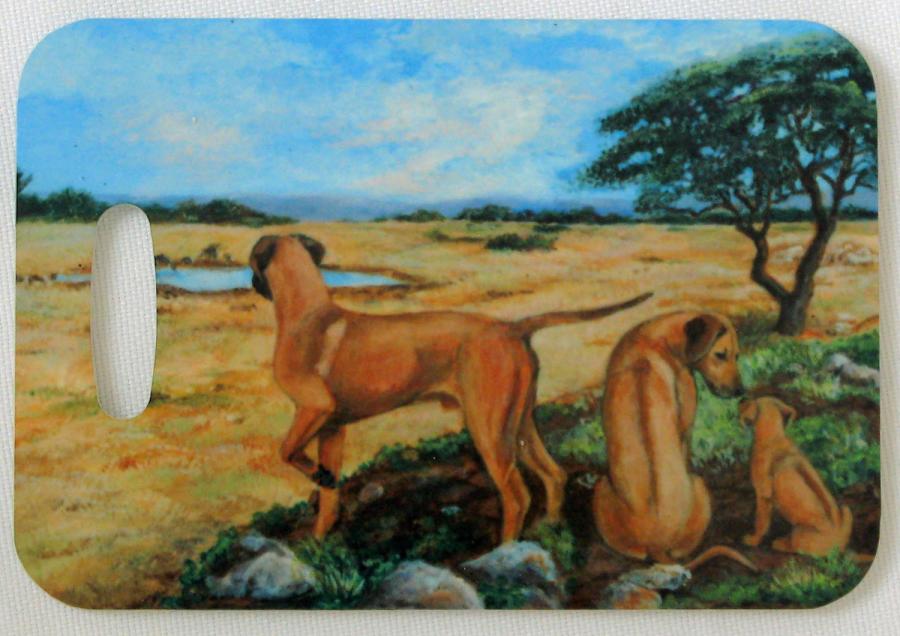 Rhodie 6 luggage tag