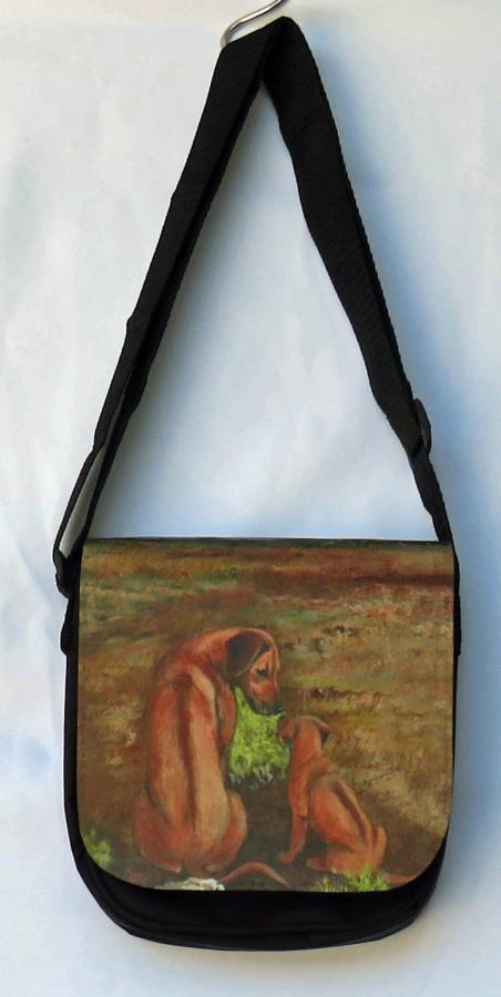 Rhodie 2B messenger bag-front